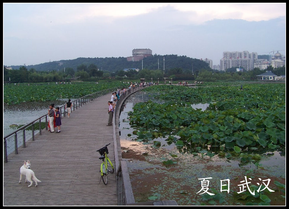 20100724̨ (39).jpg