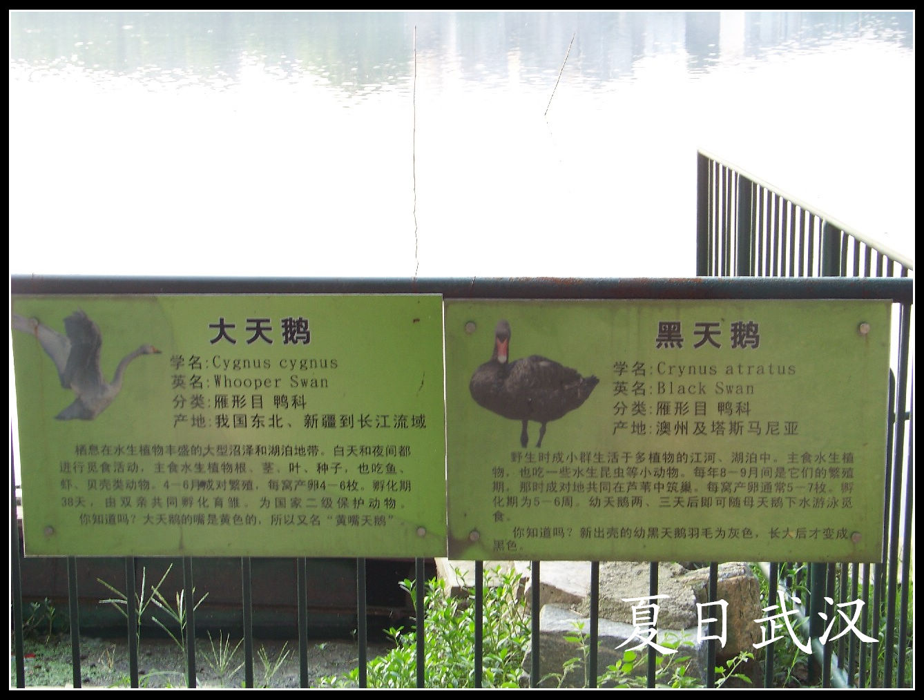 20100725人԰b (11).jpg