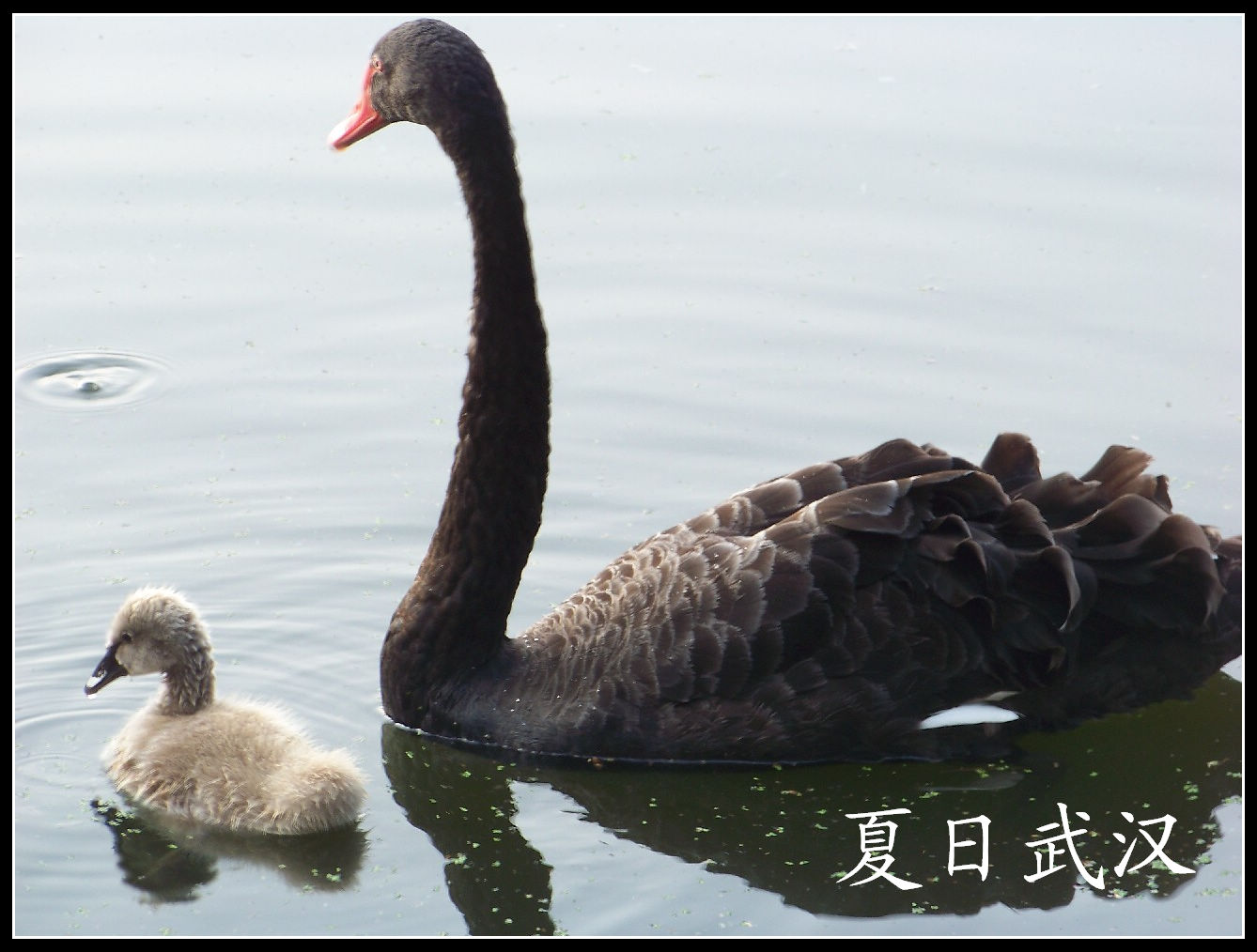 20100725人԰b (13).jpg