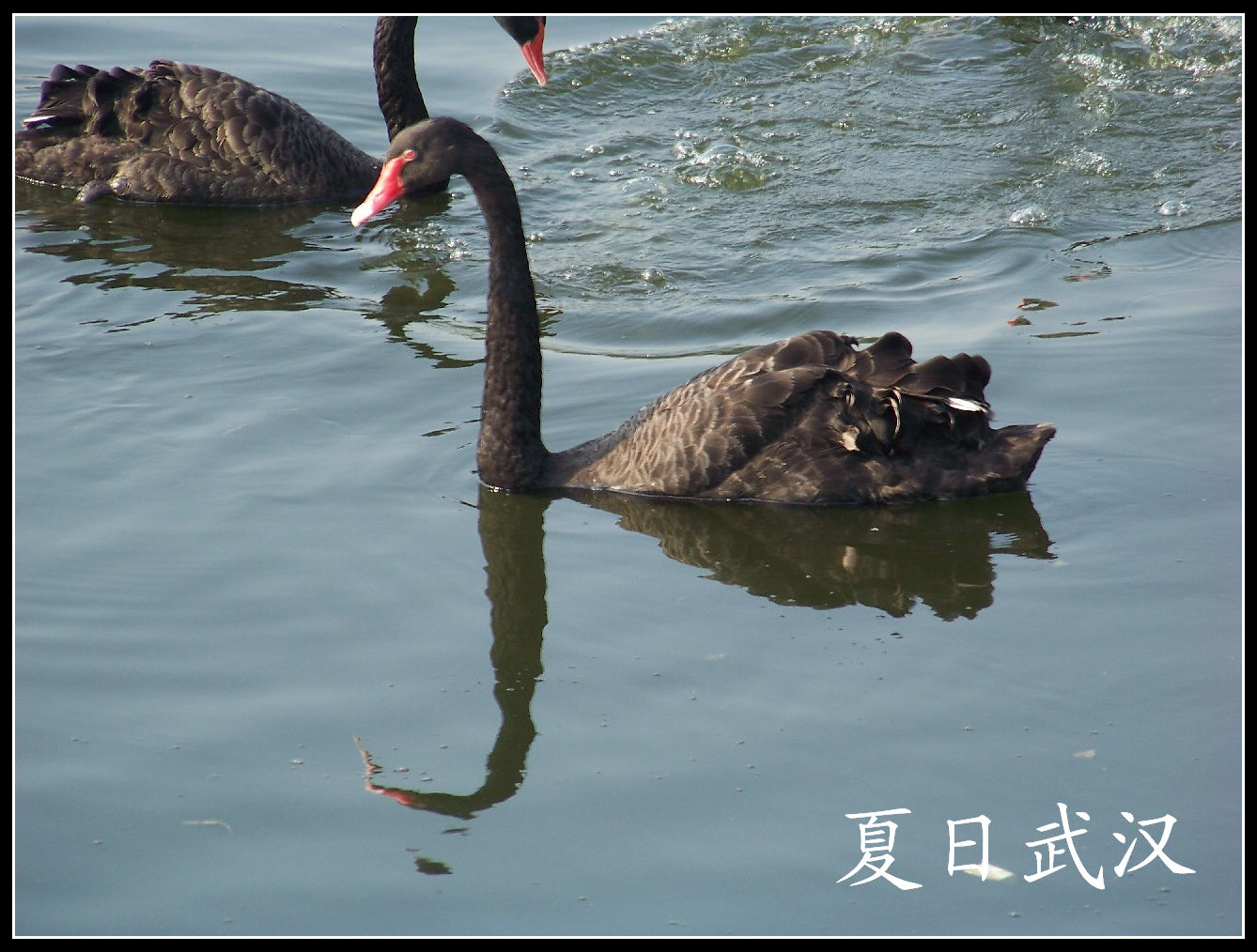 20100725人԰b (59).jpg