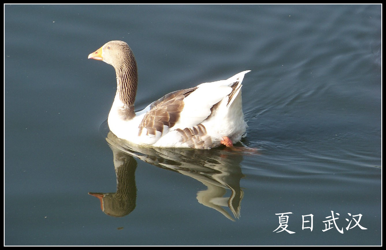 20100725人԰b (60).jpg