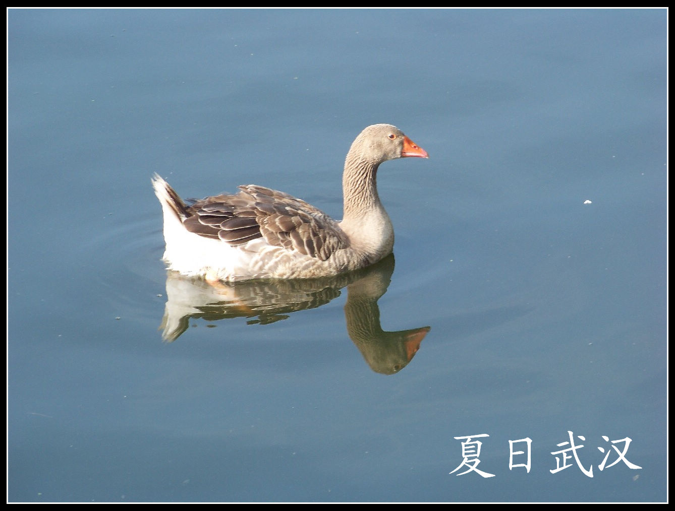 20100725人԰b (63).jpg