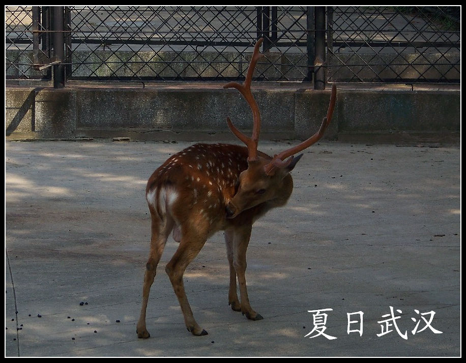 20100725人԰j÷¹ (13).jpg