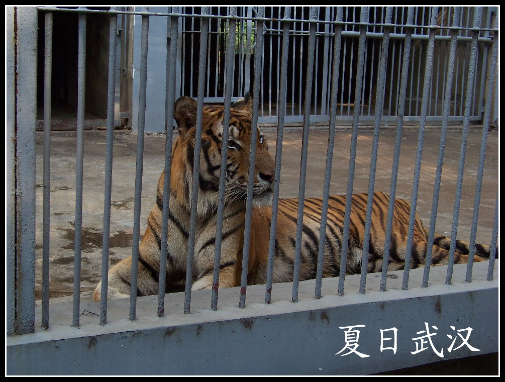 20100725人԰fʨ (19).jpg