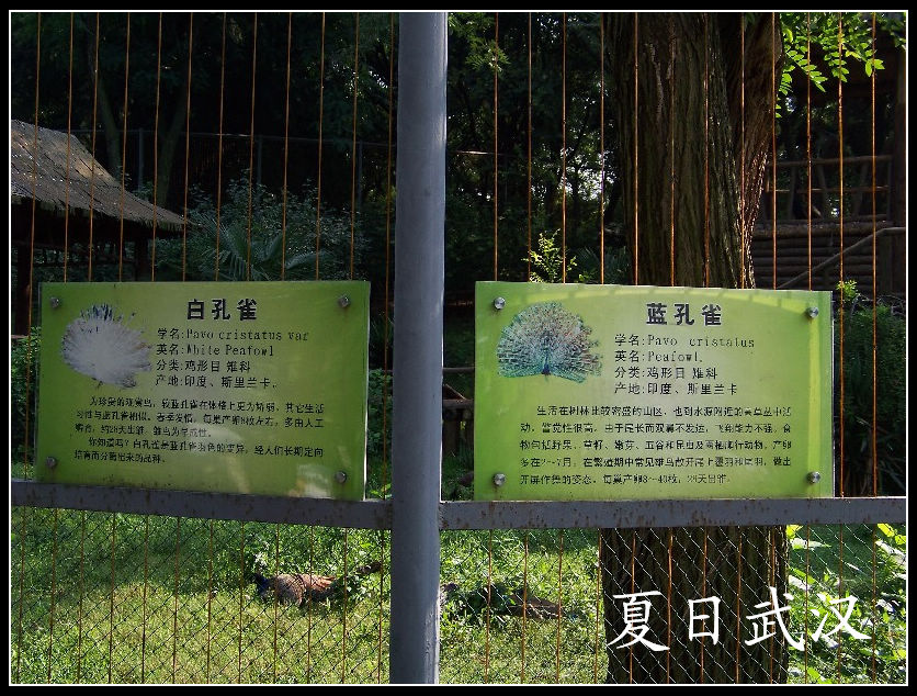 20100725人԰hȸ  (10).jpg