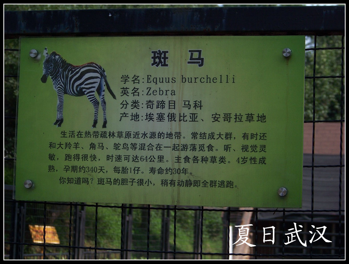 20100725人԰j  (11).jpg