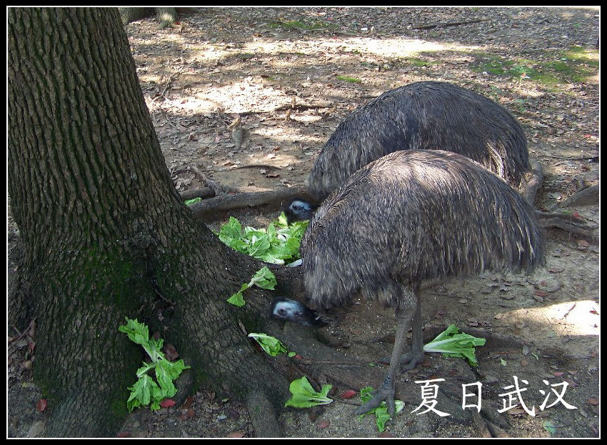 20100725人԰k (14).jpg