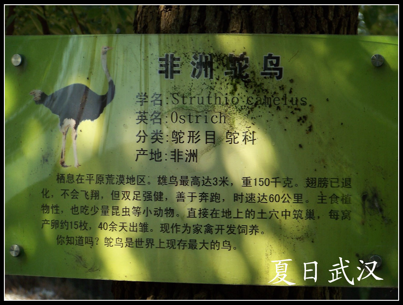 20100725人԰k (11).jpg