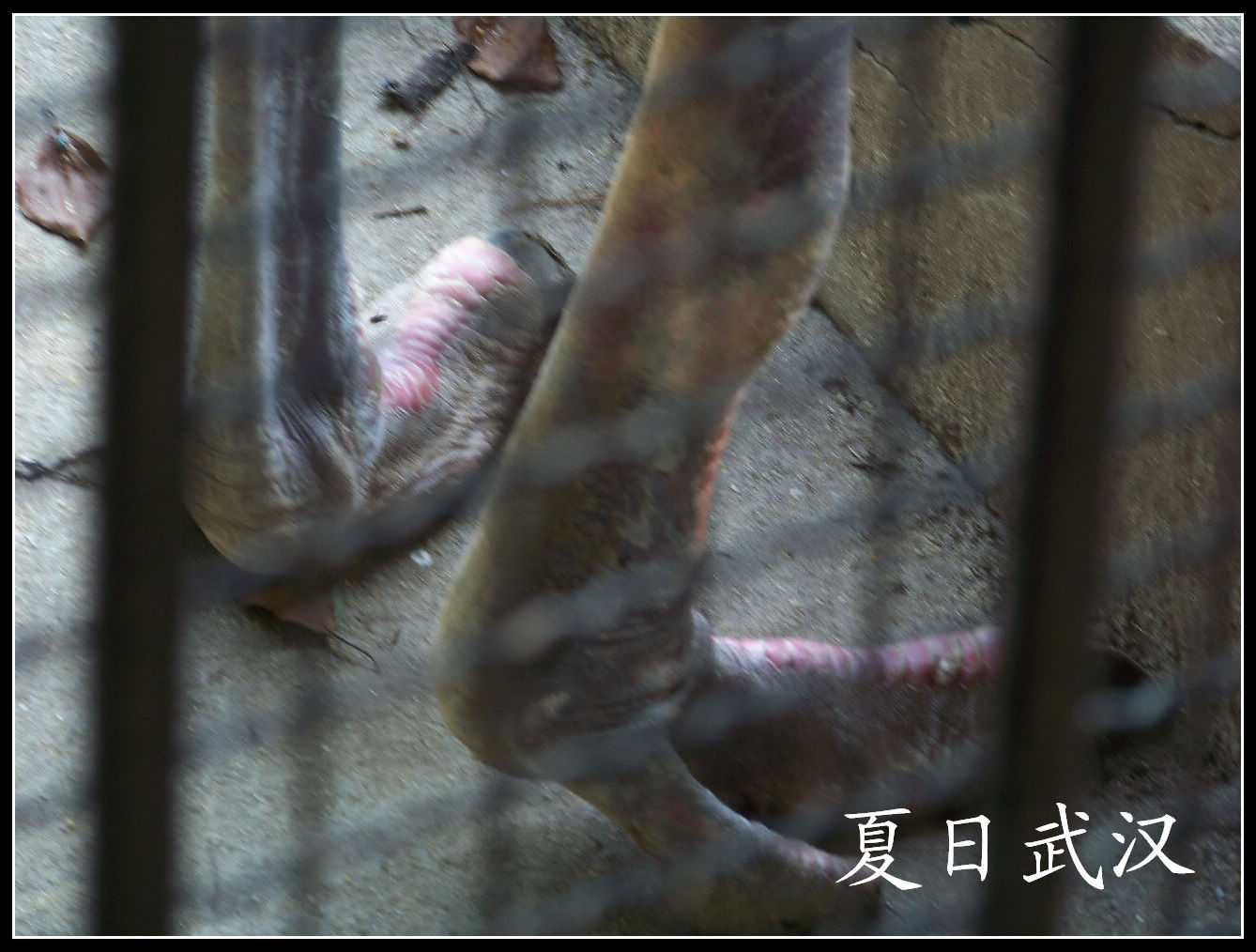 20100725人԰k (12).jpg