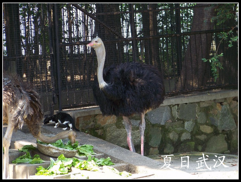 20100725人԰k (14).jpg
