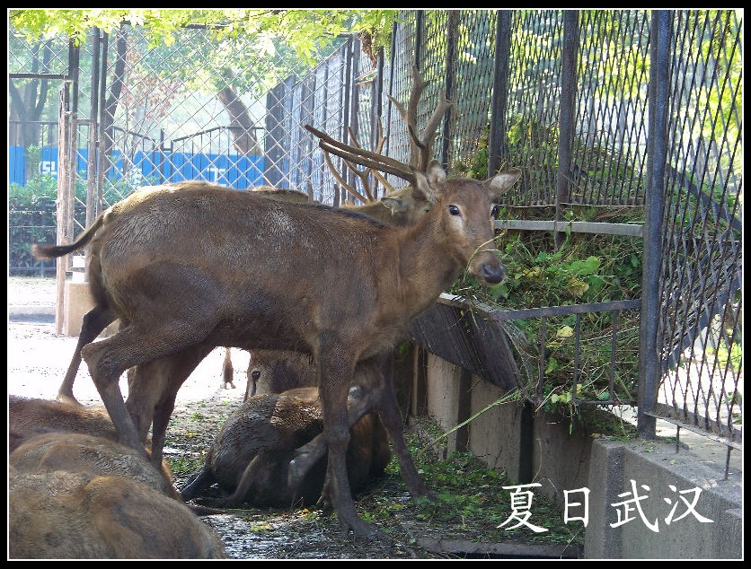 2010��0725�人����԰l��¹(�Ĳ���) (12).jpg