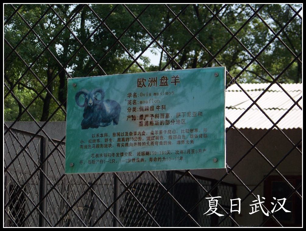 2010��0725�人����԰lŷ������ (11).jpg