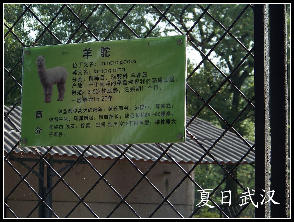 2010��0725�人����԰l���� (11).jpg