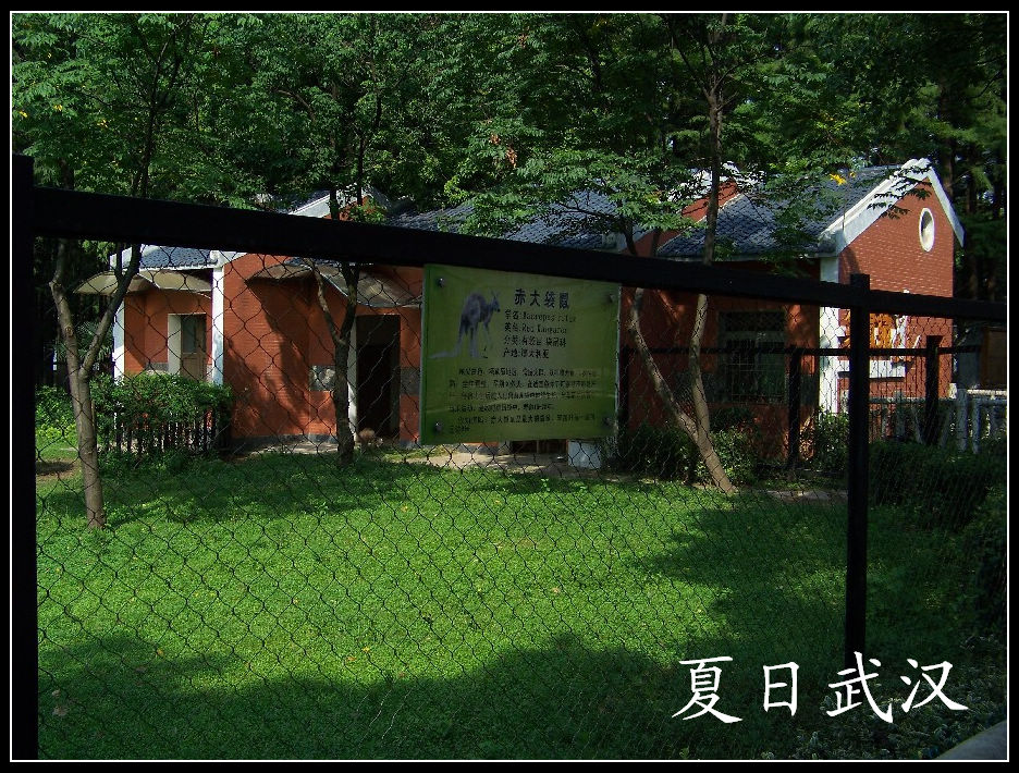 2010��0725�人����԰m������ (11).jpg