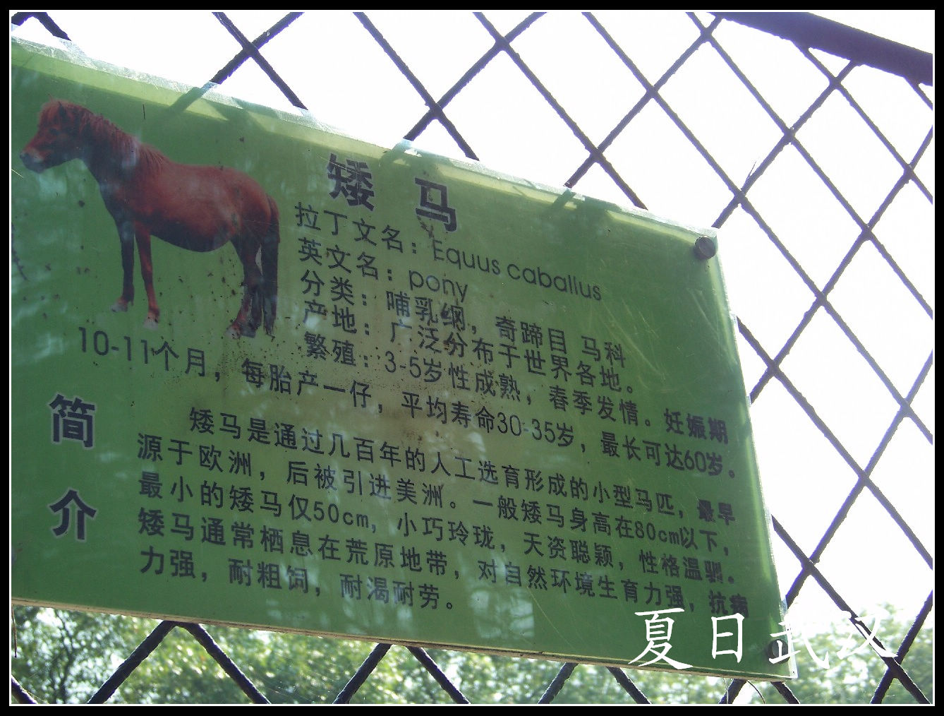 2010��0725�人����԰m���� (11).jpg