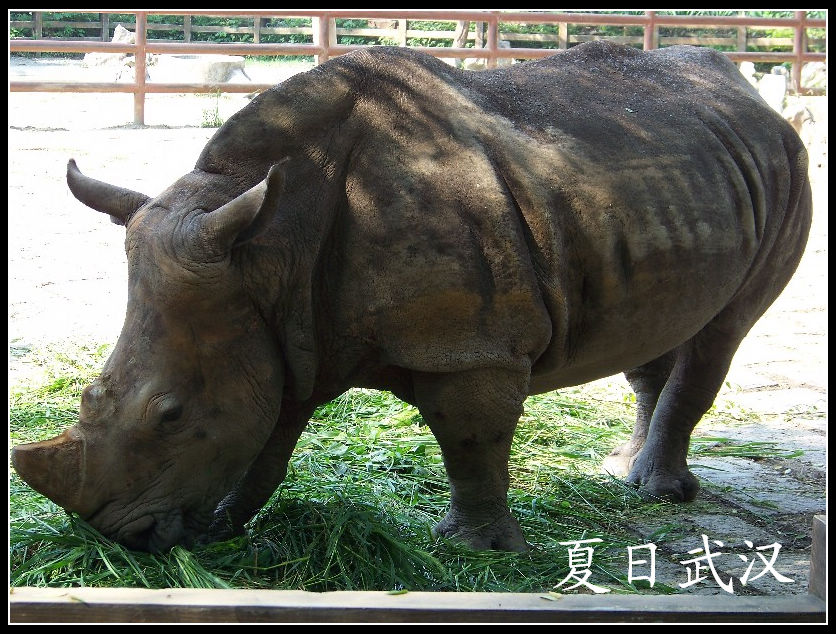 20100725人԰mϬţ (23).jpg