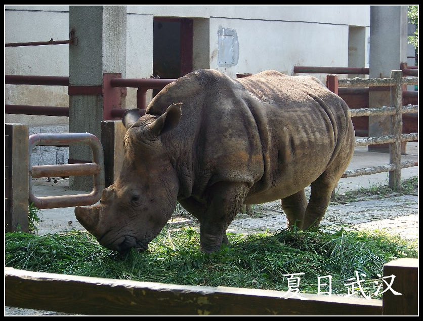 20100725人԰mϬţ (20).jpg