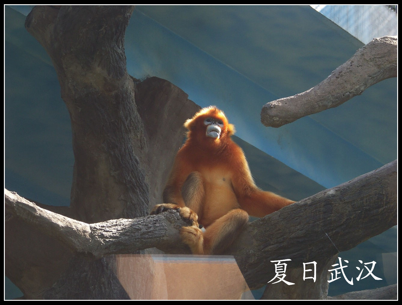 20100725人԰nԳ (15).jpg