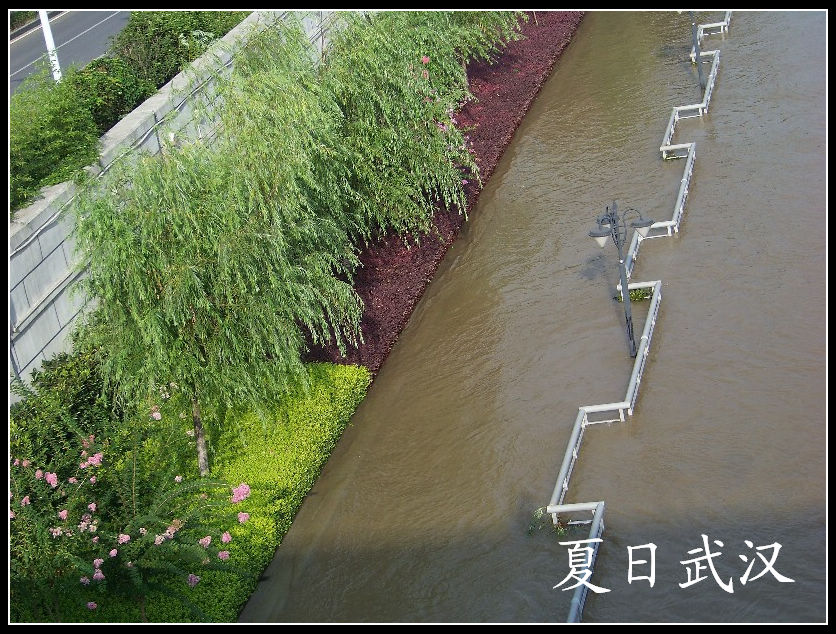 20100801̨bˮ (83)ˮʱ.jpg