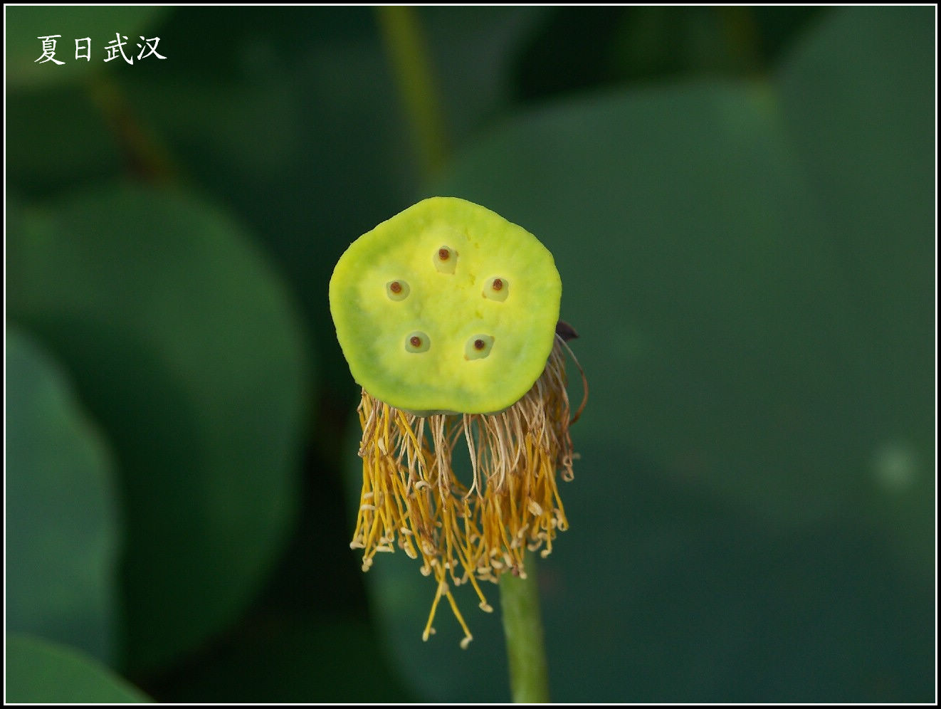 20100807ĥɽa԰ (39).jpg