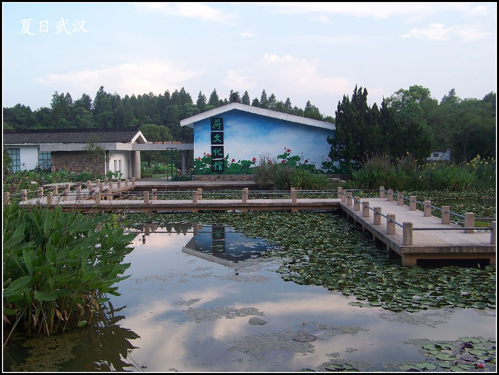 20100807ĥɽa԰ (52)Ļ.jpg