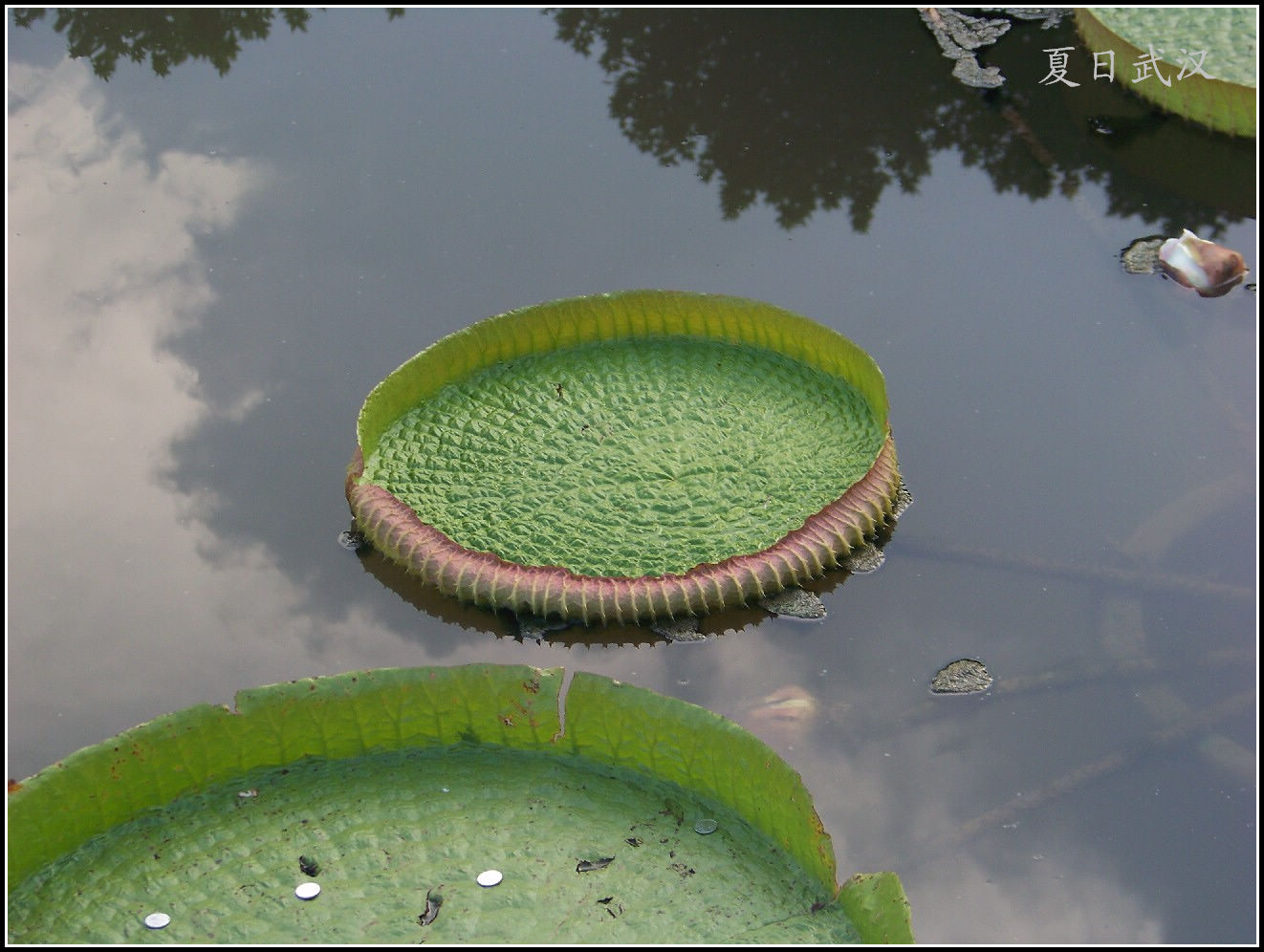 20100807ĥɽa԰ (48).jpg