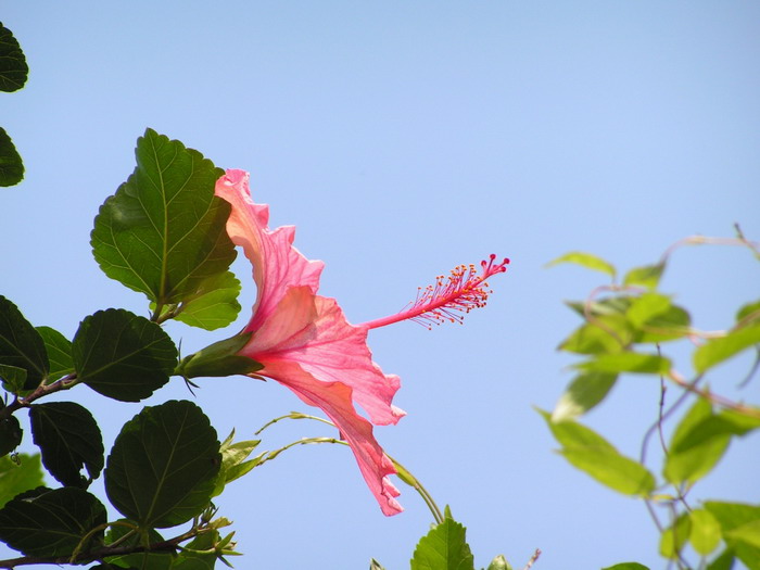 2010512ɣ.jpg