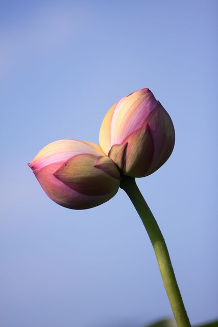 20100719.jpg