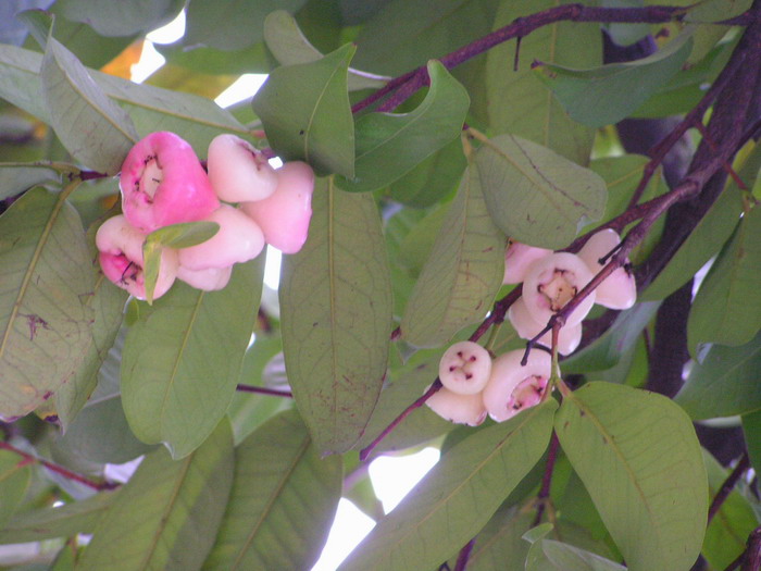201059����.jpg