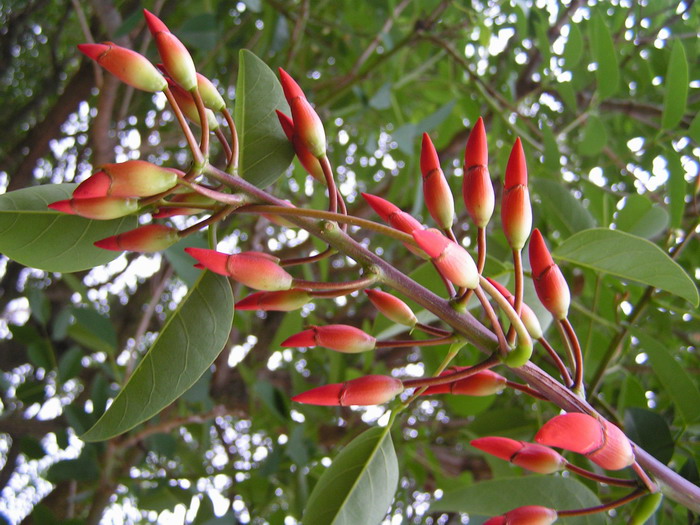 201059�ں컨.jpg
