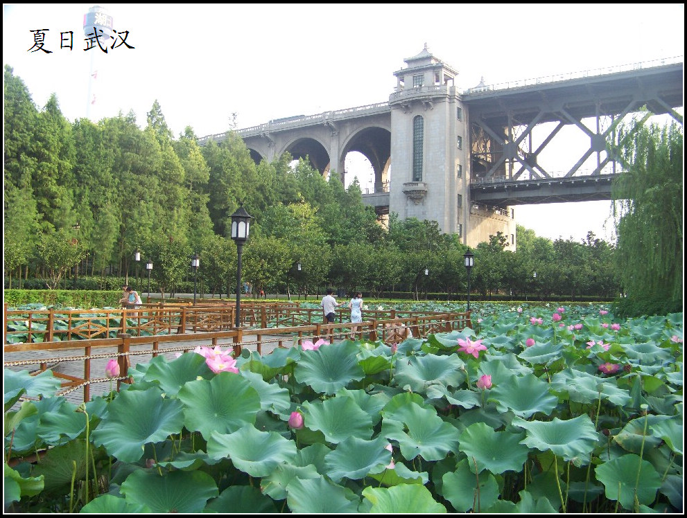20100814j̲ (28).jpg