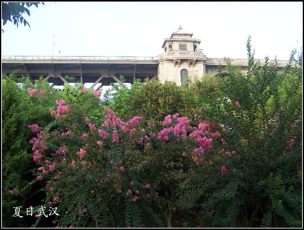 20100814a紨 (55).jpg