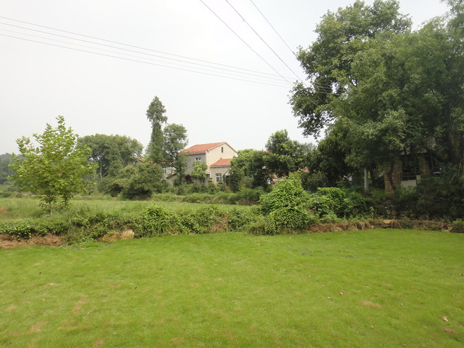 dsc01197.jpg