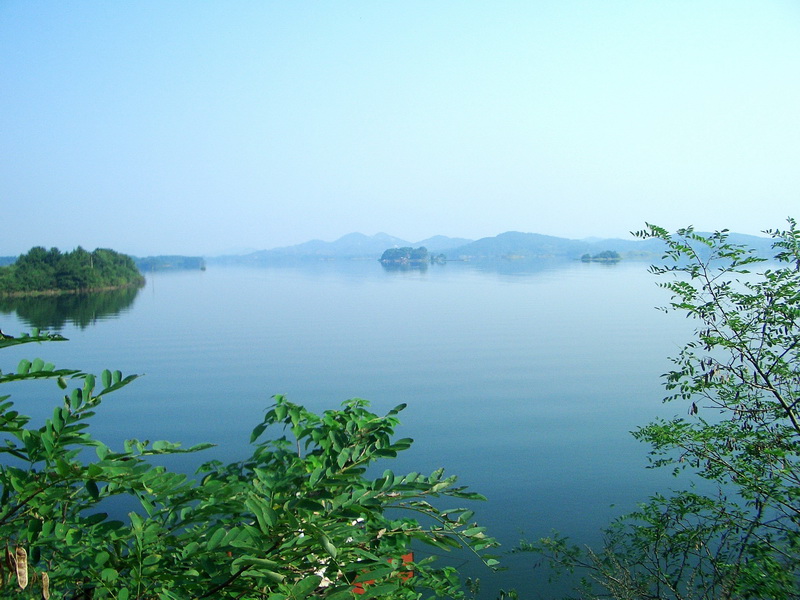 cimg3817_conew1.jpg