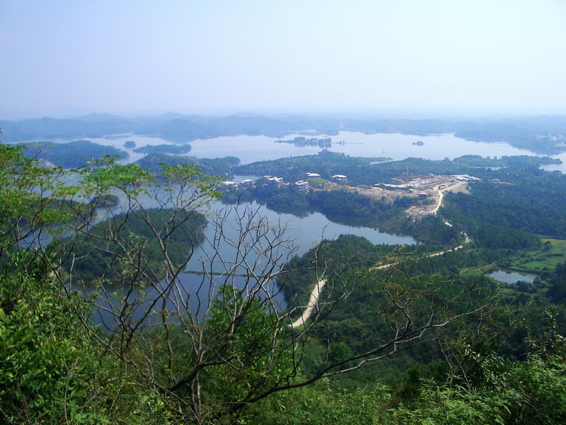 cimg3833_conew1.jpg