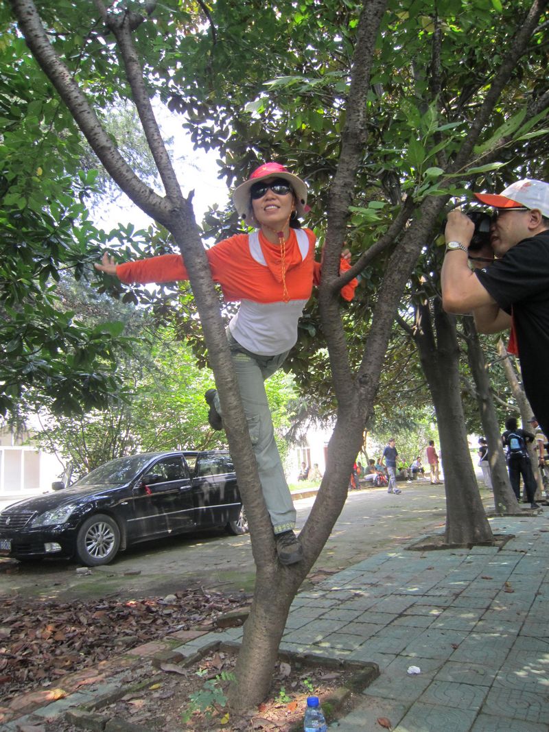 Ƭ 0447.jpg