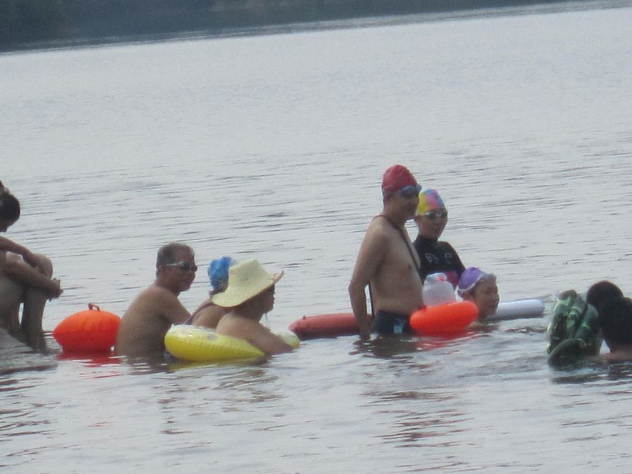 Ƭ 0794.jpg