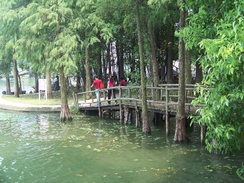 20100828Ⱥc㾰 (36).jpg