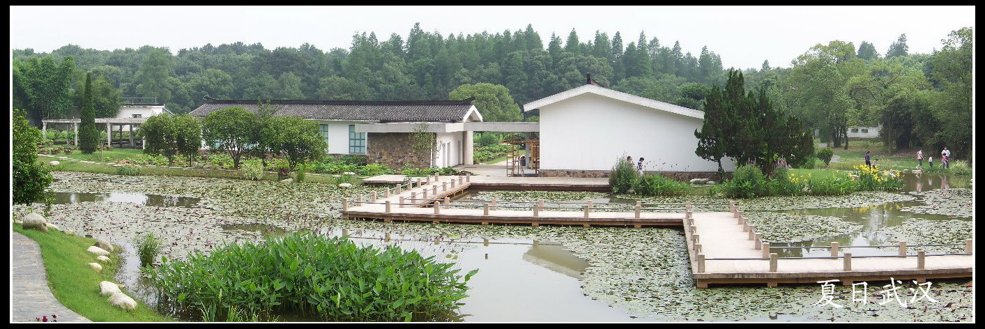 20100614ĥɽfˮֲ (44)԰.jpg