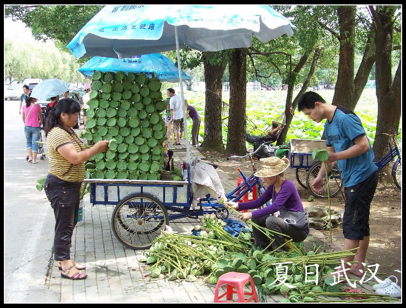 20100718n԰ (13).jpg