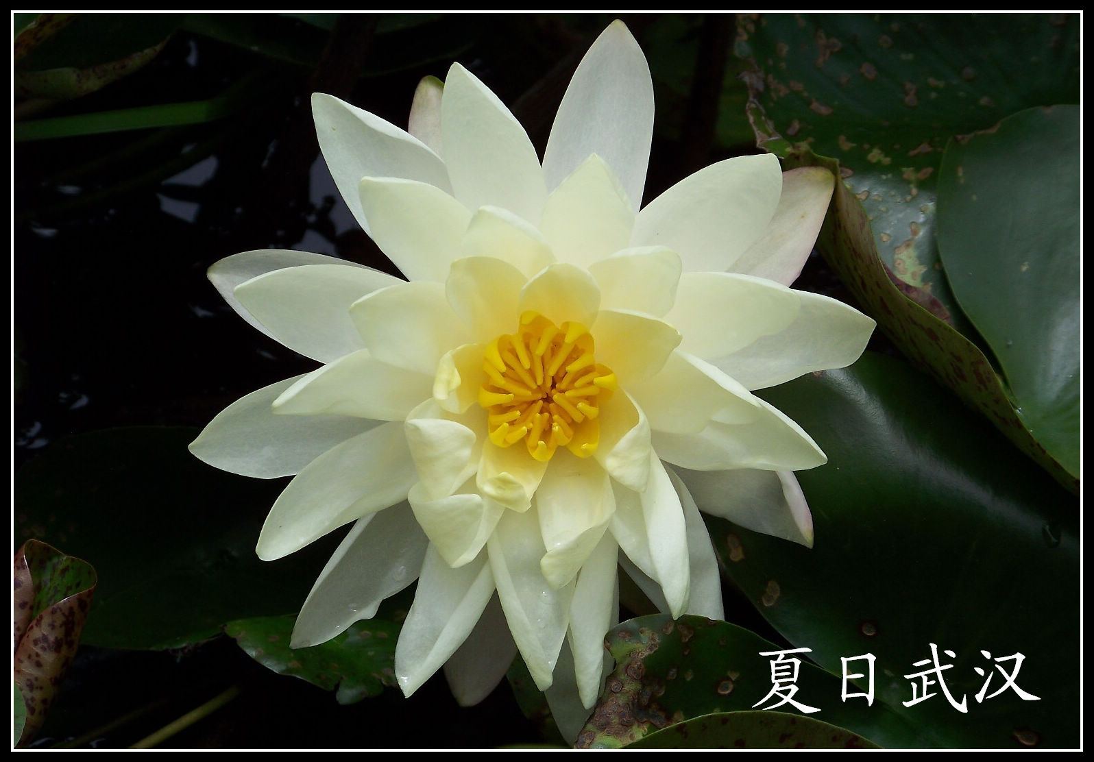 20100718s԰aɳ (32)װx.jpg