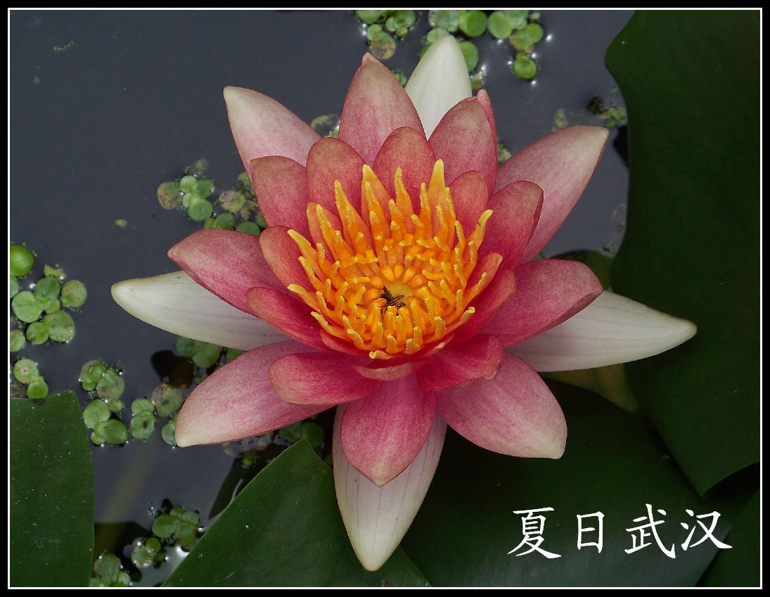 20100718s԰aɳ (35)˯-.jpg