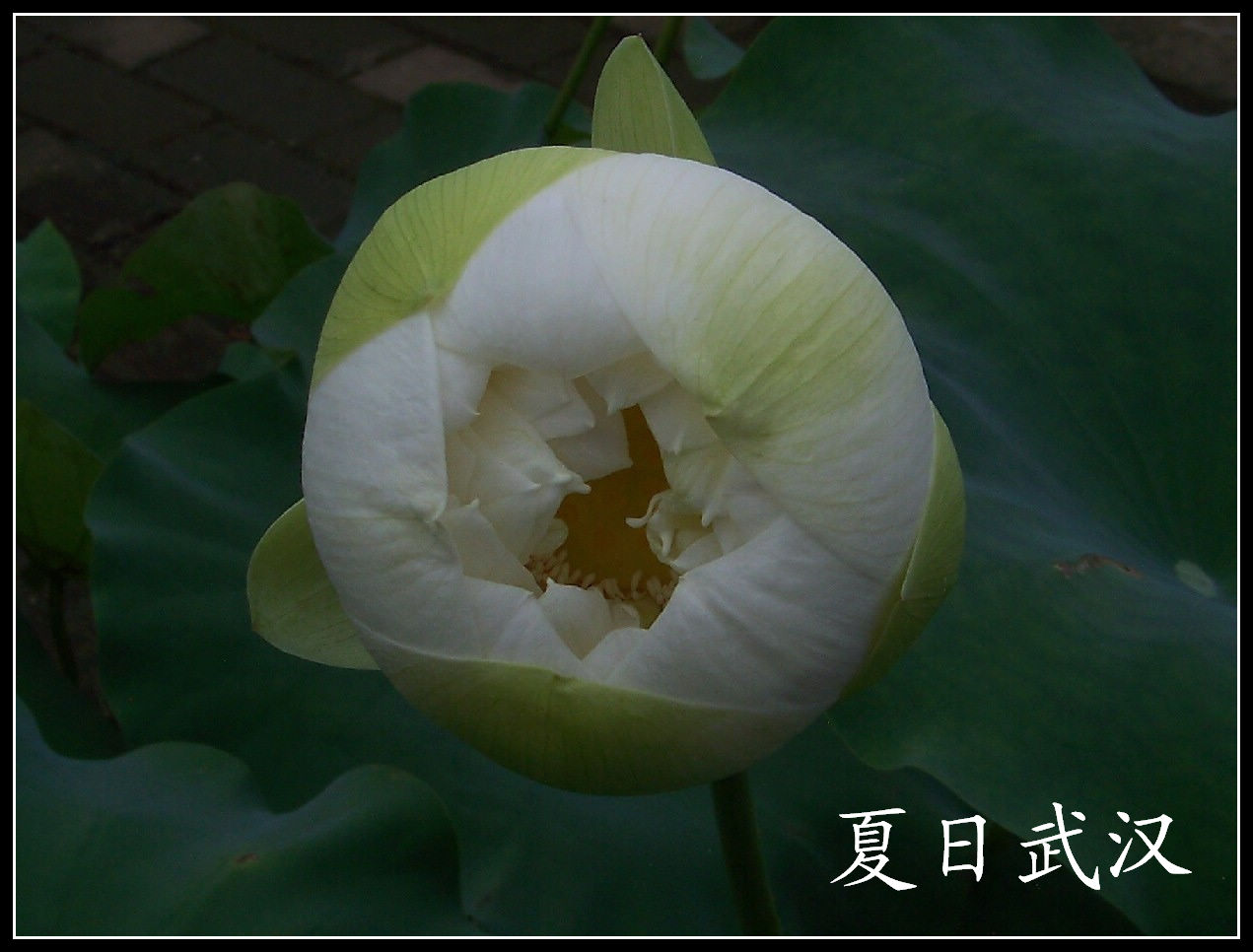 20100718s԰aɳ (57)x.jpg