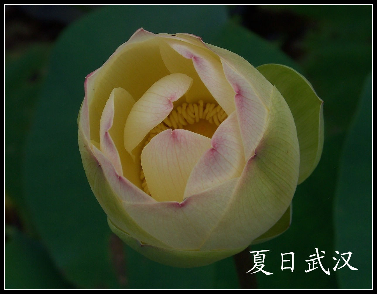 20100718s԰aɳ (60)x.jpg