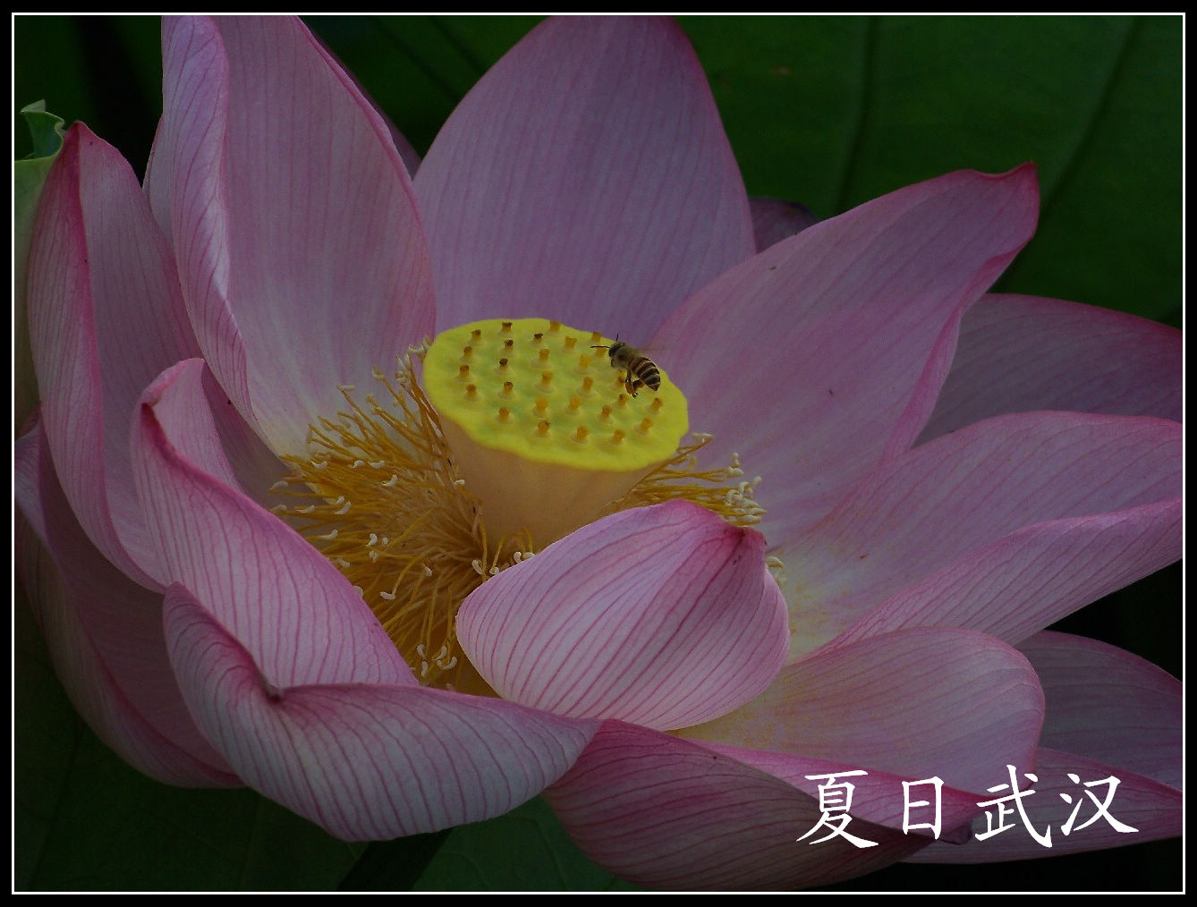 20100701̨Ļgɻ (27)2۷.jpg