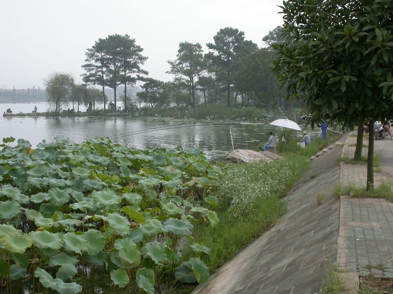dscn0012.jpg