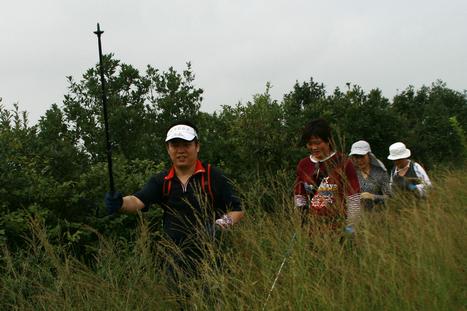 img_9717_1.jpg