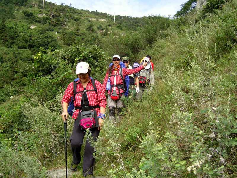  snc10210.jpg