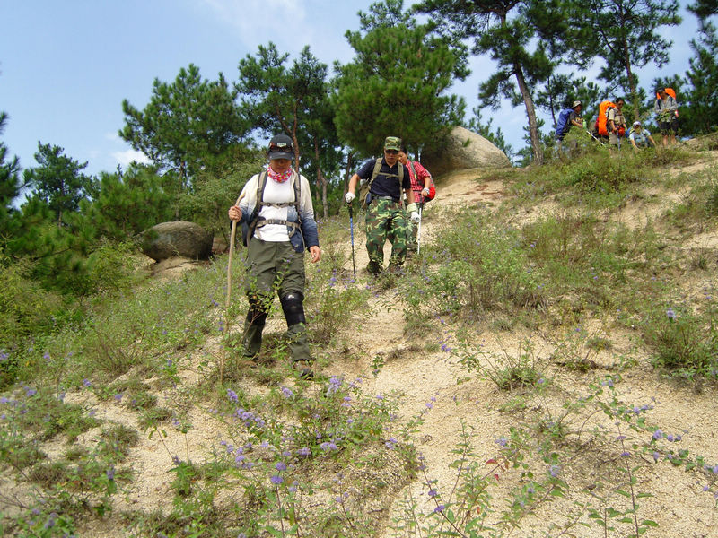  snc10257.jpg