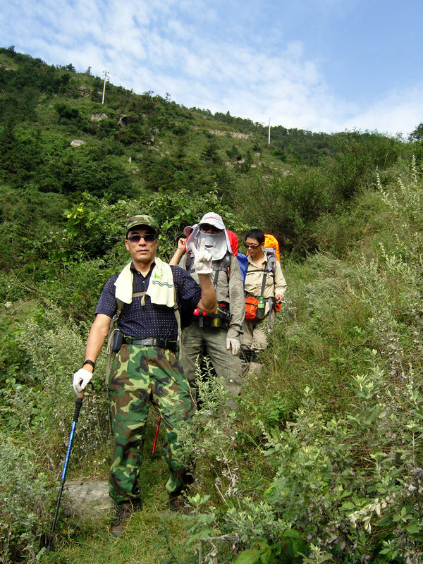  snc10211.jpg